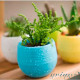 Цветочный горшок Colorful 0,55л фиолетовый