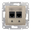 Двойная компьютерная розетка RJ45 STP 5E титан