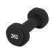 Набір гантелей в кейсі 9 кг. PowerPlay 4121 Fitness Dumbells (2шт.*1кг. 2шт.*1,5кг. 2шт.*2кг.)