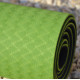 Килимок для йоги та фітнесу U-POWEX TPE Yoga mat Green/Black (183х61х0.6)