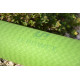 Килимок для йоги та фітнесу U-POWEX TPE Yoga mat Green/Black (183х61х0.6)