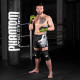 Рукавиці для ММА Phantom APEX Sparring NEON L/XL (капа в подарунок)