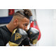 Боксерские перчатки RDX MARK PRO SPARRING TRI LIRA 2 GOLDEN-14 унций (капа в комплекте)