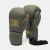 Боксерские перчатки Leone GN059G MILITARY EDITION Green 10 унций (капу в комплекте)