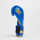 Боксерские перчатки Leone GN220 DNA Blue 10 унций (бинты 4 м. в комплекте)