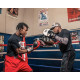Лапи боксерські TITLE Boxing Attack “Big-T” Punch Mitts 2.0 White/Black