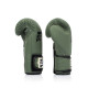 Боксерські рукавиці Fairtex BGV11 Green 10 унцій (бинти в комплекті)