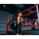 Спортивная сумка TITLE Boxing Champion Sport Bag/Backpack Black/Red
